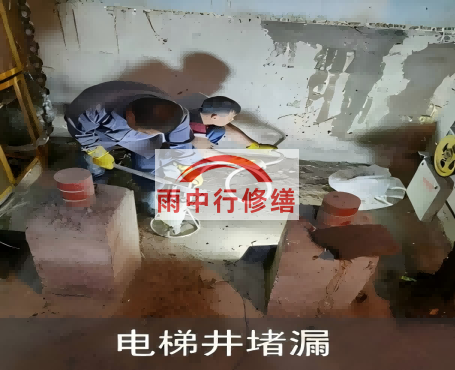 合川星雨华府电梯井堵漏案例
